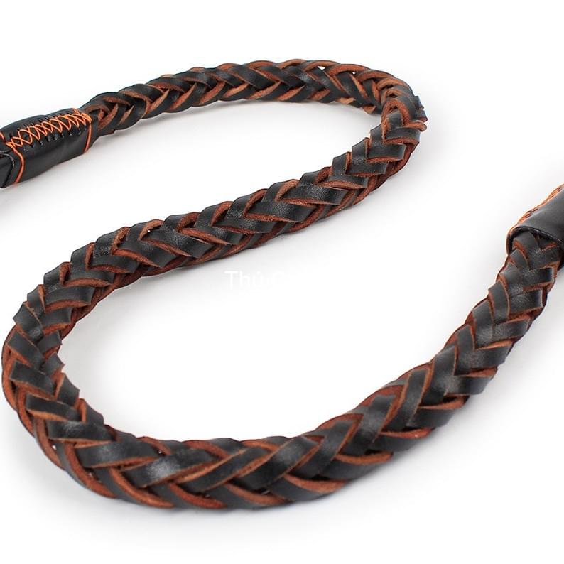 dây dắt vòng cổ trợ lực1