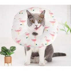 Vòng cổ chống liếm bằng bông