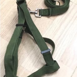 Dây dắt và yếm xanh bộ đội 2.5x120