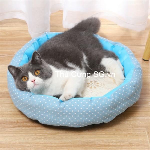 kiotviet_3673090b3479d88a46c850ce359e7617