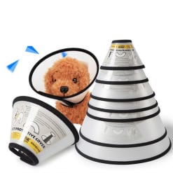 Vòng cổ chống liếm elizabeth