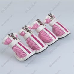 Giày vải chó mèo