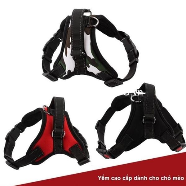 kiotviet_8cd2c91d0075626df73c890a2d9aaca1