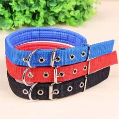 Vòng cổ đệm cho chó mèo