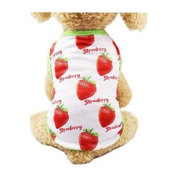 Áo ba lỗ trái dâu