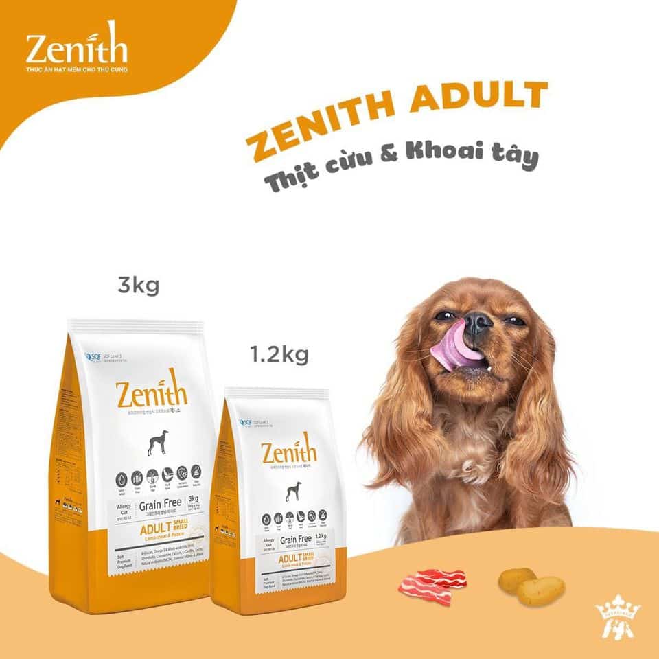zenith adult