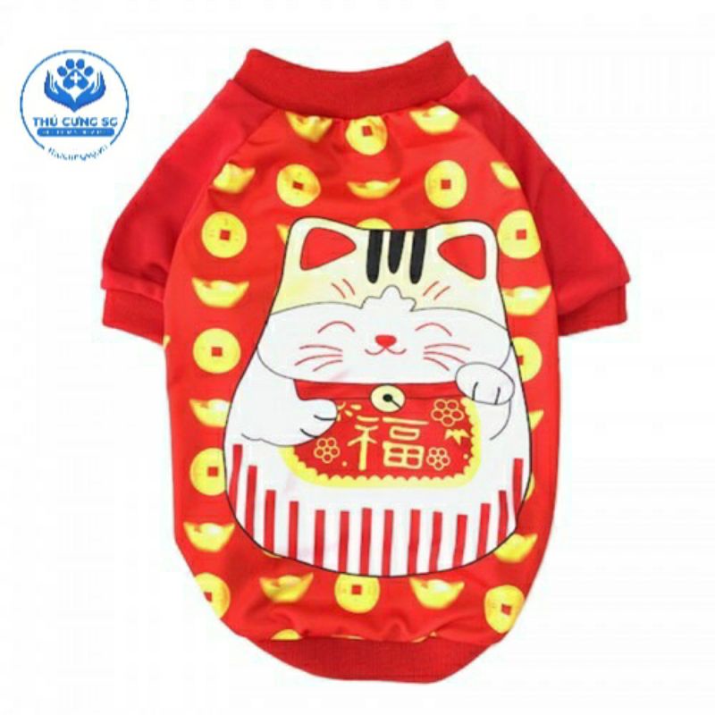 áo mèo thần tài hk