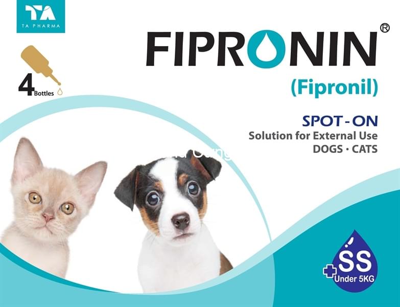 kiotviet_12e28f140161053b6ec47b9162be7253