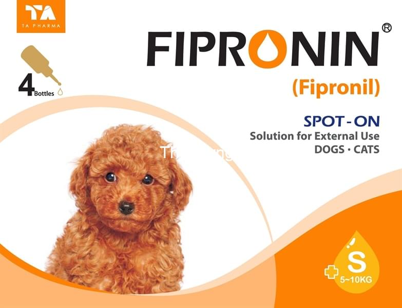 kiotviet_36250302419aa81d7e83d294f02b62a0