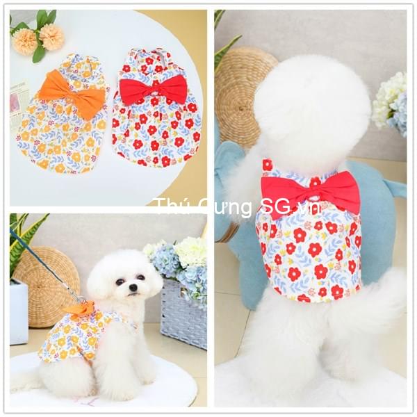 kiotviet_d06dd8ea8f9b4bb5fc5ebc1bef91f123