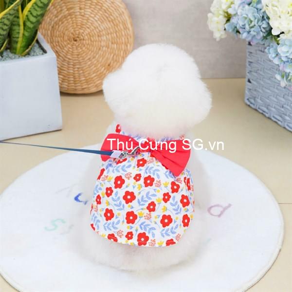 kiotviet_fd863b5eb4282cb2ef0fbf03dde5f850