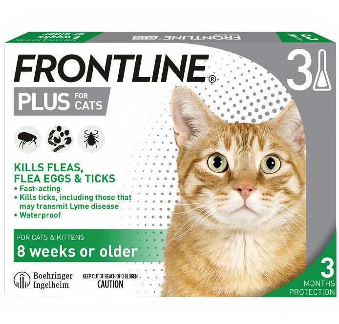 frontline nhỏ gáy mèo