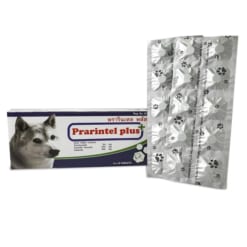 Xổ giun Prarintel Plus cho chó