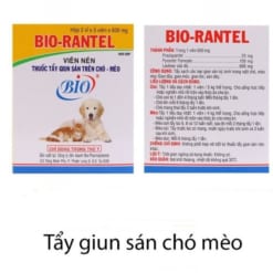 Xổ giun chó mèo Bio- RANTEL