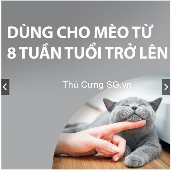 kiotviet_e886364fd4b1b9212811ae58565cbd82