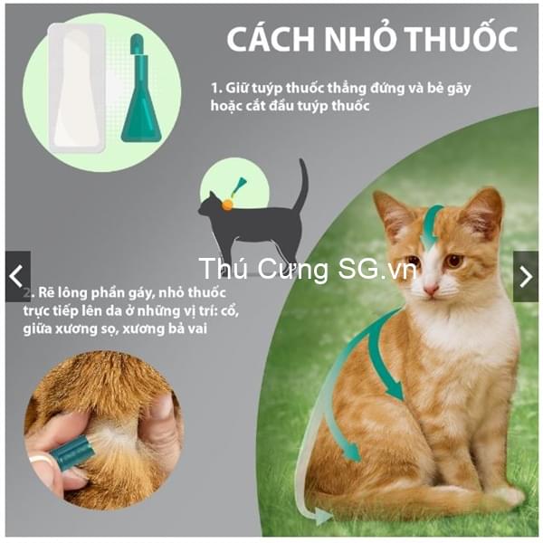 kiotviet_eea85ea98aed561773e00f8d5334b0cd