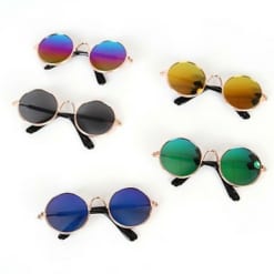 Mắt kính cho mèo mẫu tròn