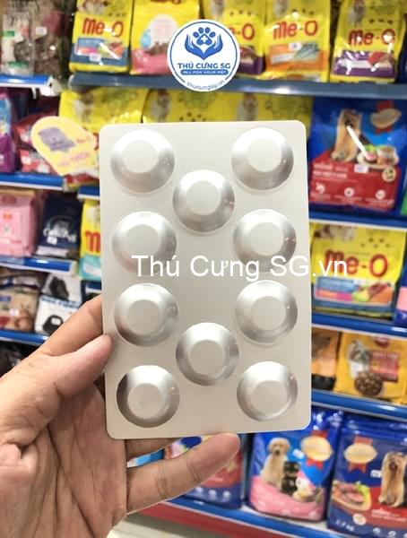 kiotviet_c6a0e8caa6dfeeb1bef733762231ef50