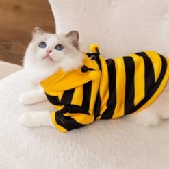 Áo ong vàng cho chó mèo