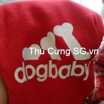 kiotviet_74d8f90bd947541f2698a13d04064790