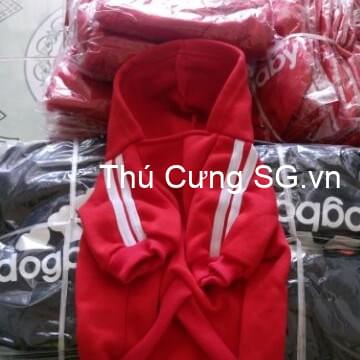 kiotviet_e9eab2218a0a2a7d1ff28120150e88f0