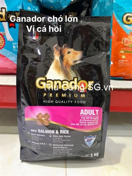 kiotviet_bce9d530c5d699adf2695b09e76eb47f