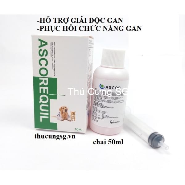 kiotviet_11ec611296bcd47473bcdeda1b06652e