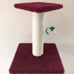 Trụ cào móng mèo 2 tầng nhỏ