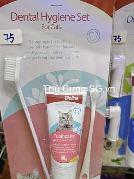 kiotviet_86ed327c7862a503ce3b1488a3c278d7