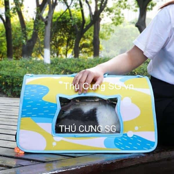 kiotviet_8a8bd2ce6b3752fc5c8a7eb8813d14c6