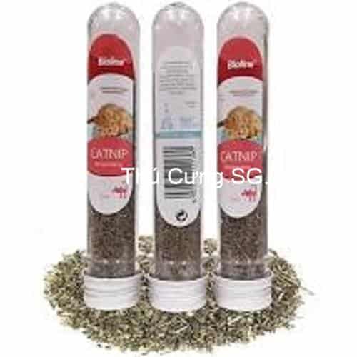 kiotviet_dcec33e26a61ab59cbf05b3760b123ca