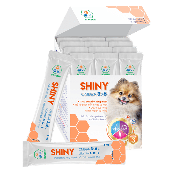 kiotviet_430cf1d64081923d6660a92bedd93811