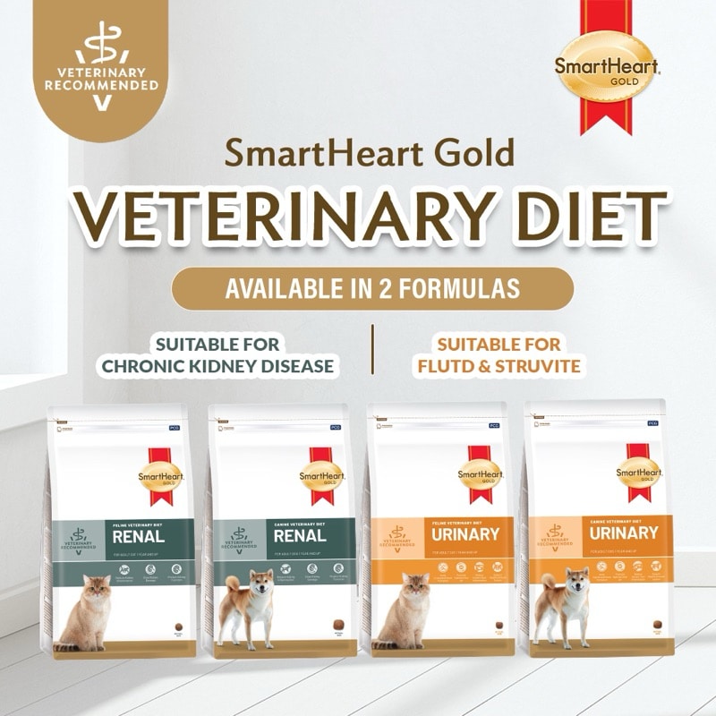 smartheart gold canine