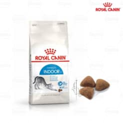 Thức ăn cho mèo hạt Royal Canin Indoor