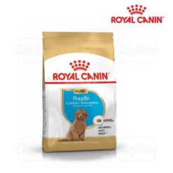 Royal Canin Poodle Puppy 500g