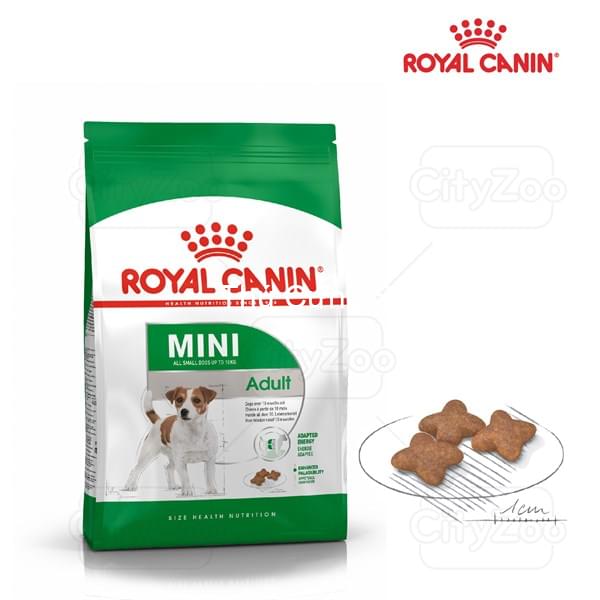 kiotviet_6a5dacfbc12003a1b93c17457407dd08