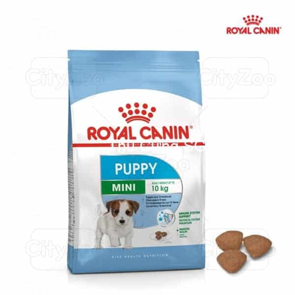 kiotviet_6f230988dfd22755b286a5425b48b390