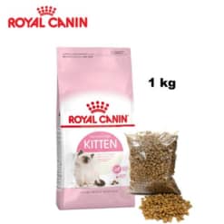 Thức ăn cho mèo hạt Royal Canin Kitten