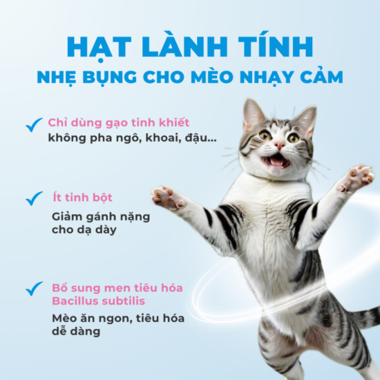 mr vet e 4