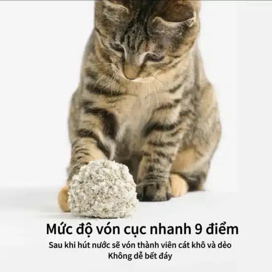 cát pidan 3 cát pidan 3