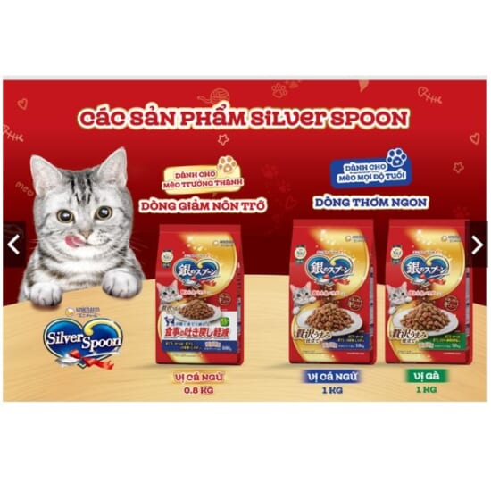 hạt mèo silver spoon3
