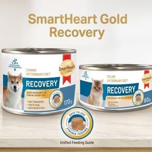 Pate chức năng lon Smartheart Gold Recovery chó mèo