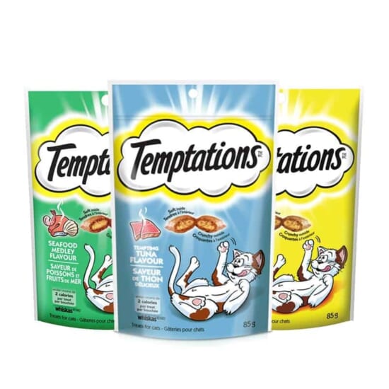 bánh thưởng temptations6