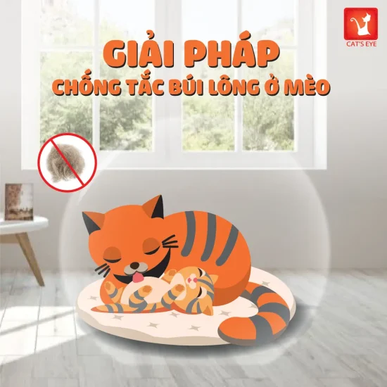 cateye 1kg_2