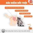 cateye 1kg_3