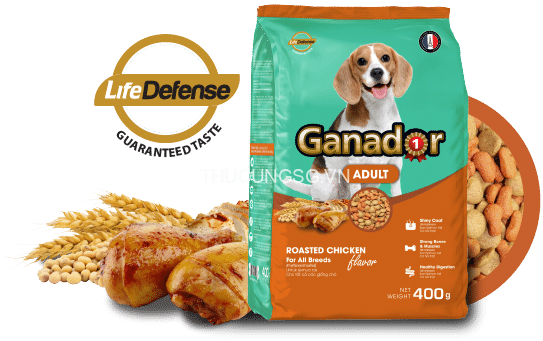 ganador ga ganador ga