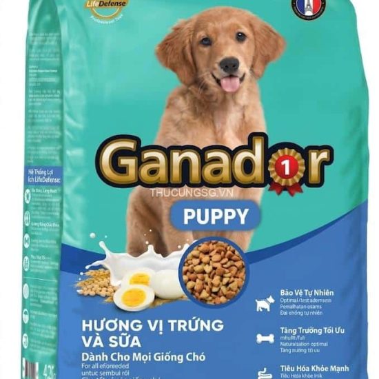 ganador trungsua 1