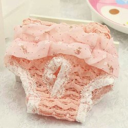 Quần sinh lý chó mèo