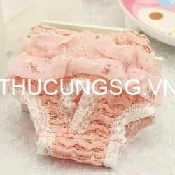 Quần sinh lý chó mèo