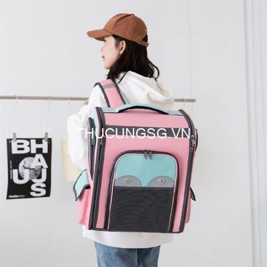 kiotviet_03fa91e014f12d40172e0ca3be93150b kiotviet_03fa91e014f12d40172e0ca3be93150b